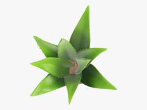 Artificial cactus composition 01 Modello 3D