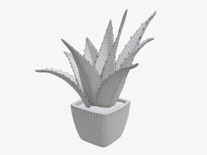 Artificial cactus composition 01 Modello 3D