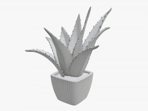Artificial cactus composition 01 3D Model