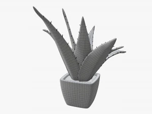 Artificial cactus composition 01 3D Model