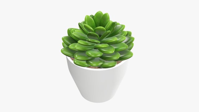 Artificial cactus composition 02 3D Model .c4d .max .obj .3ds .fbx .stl .blend 