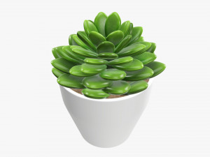 Artificial cactus composition 02 3D Model