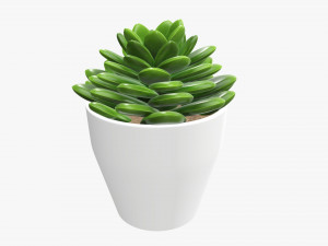 Artificial cactus composition 02 3D Model
