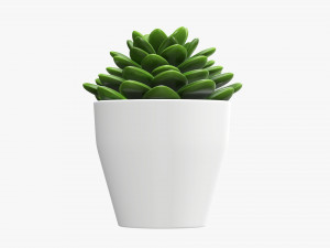 Artificial cactus composition 02 3D Model