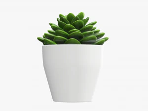 Artificial cactus composition 02 3D Model