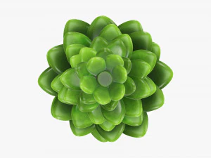 Artificial cactus composition 02 3D Model
