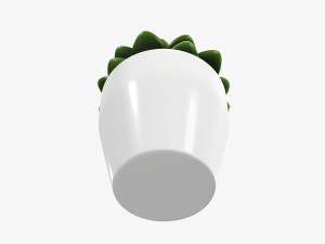 Artificial cactus composition 02 3D Model