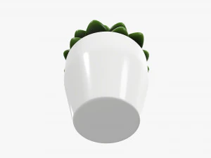 Artificial cactus composition 02 3D Model