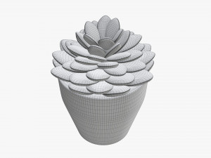 Artificial cactus composition 02 3D Model