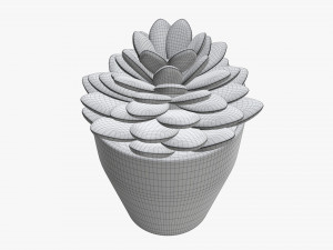 Artificial cactus composition 02 3D Model