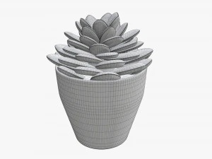 Artificial cactus composition 02 3D Model
