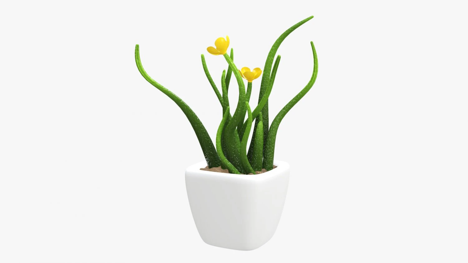 Artificial plant 02 3D Model .c4d .max .obj .3ds .fbx .stl .blend 
