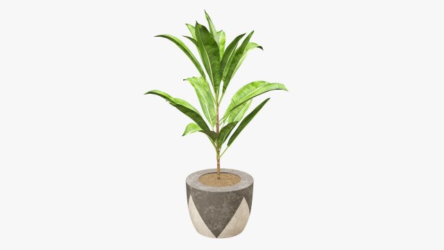 Artificial plant 04 Modelo 3D .c4d .max .obj .3ds .fbx .stl .blend 