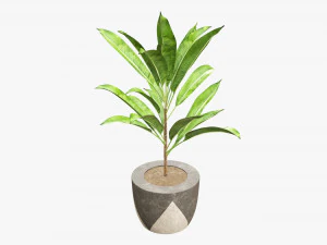Artificial plant 04 3D Model