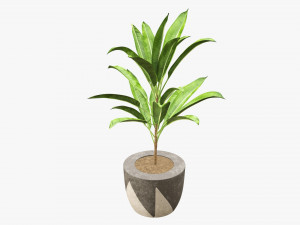 Artificial plant 04 Modelo 3D