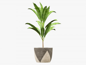 Artificial plant 04 Modelo 3D