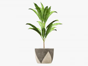 Artificial plant 04 3D Model
