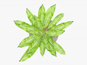 Artificial plant 04 3D Model
