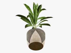 Artificial plant 04 3D Model
