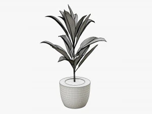 Artificial plant 04 3D Model
