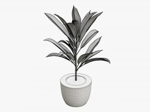 Artificial plant 04 3D Model
