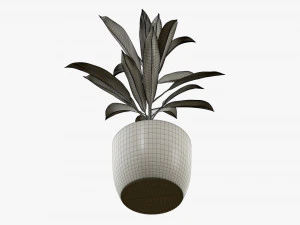 Artificial plant 04 3D Model