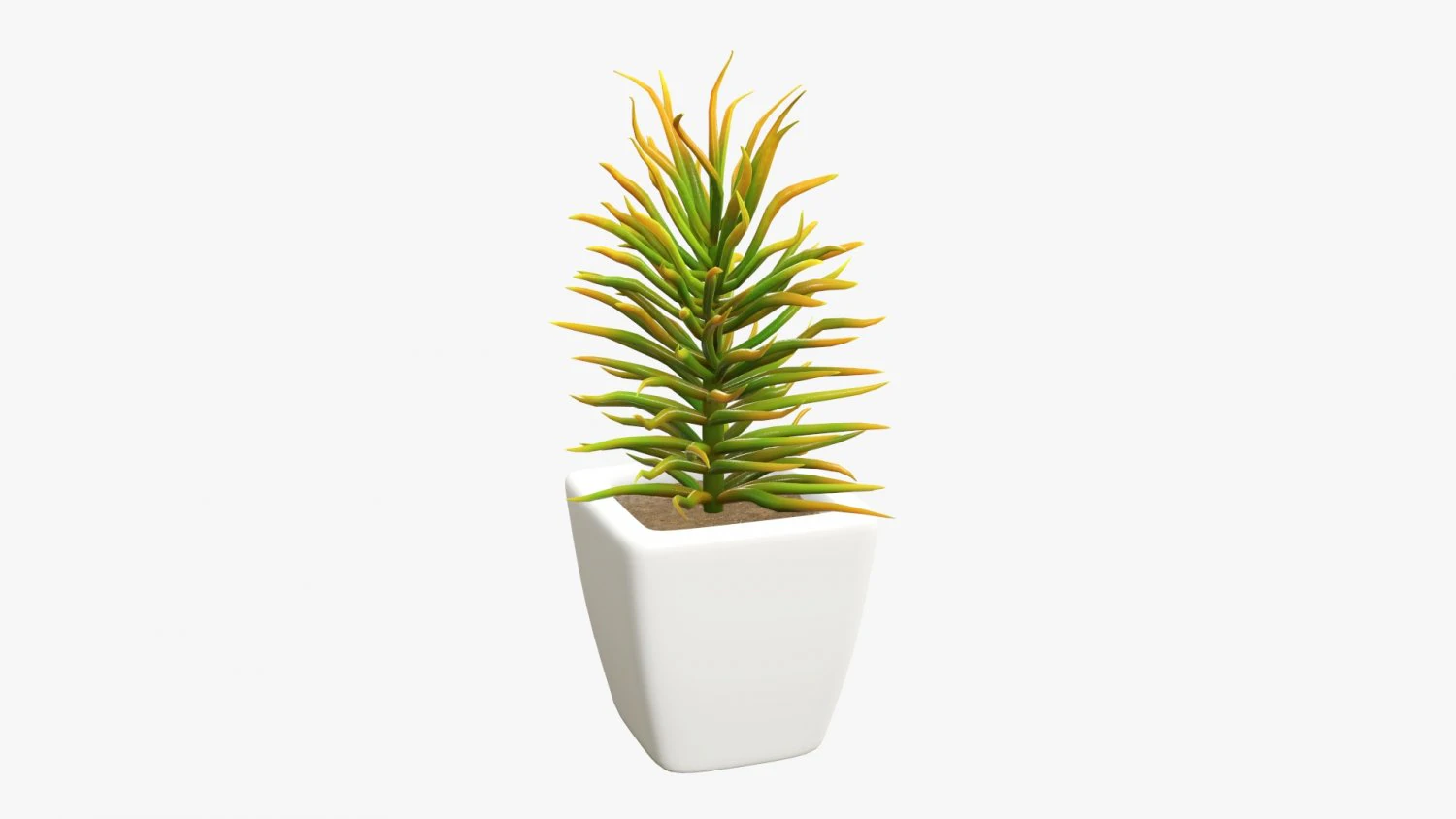 Artificial plant 05 3D Model .c4d .max .obj .3ds .fbx .stl .blend 