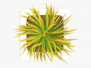 Artificial plant 05 3D Model