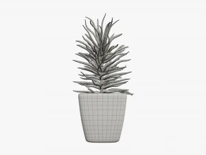 Artificial plant 05 3D Model