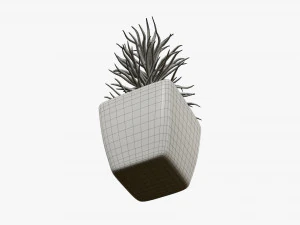 Artificial plant 05 3D Model