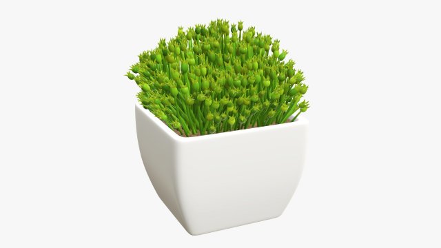 Artificial plant 06 Modelo 3D .c4d .max .obj .3ds .fbx .stl .blend 