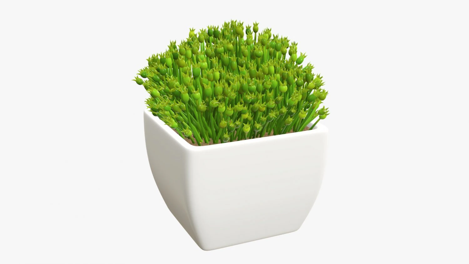 Planta artificial 06 Modelo 3D .c4d .max .obj .3ds .fbx .stl .blend 