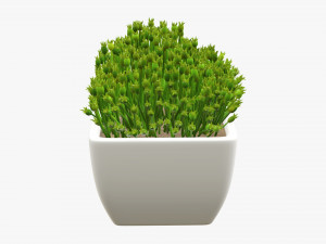 Artificial plant 06 Modelo 3D