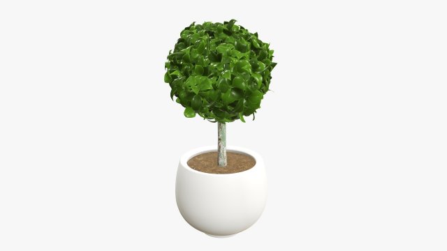 Artificial plant 07 Modelo 3D .c4d .max .obj .3ds .fbx .stl .blend 