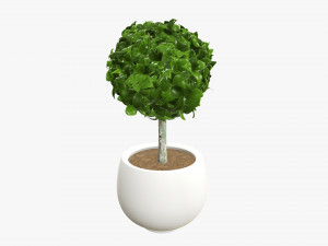 Artificial plant 07 3D Model