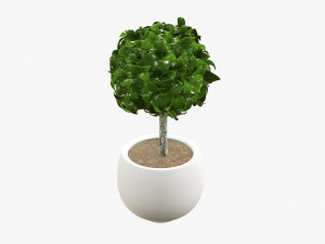 Artificial plant 07 Modelo 3D