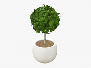 Artificial plant 07 Modelo 3D