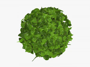 인공식물 07 3D 모델