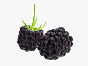Blackberry Modelo 3D