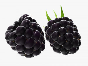 Blackberry Modelo 3D