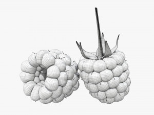 Blackberry Modelo 3D