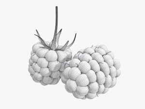 Blackberry Modelo 3D