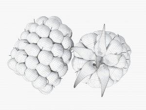 Blackberry Modelo 3D