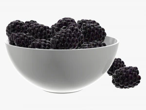 Blackberry in bowl 3D Model