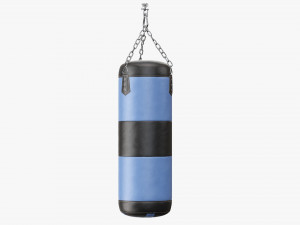 Ceiling boxing punch bag Modelo 3D