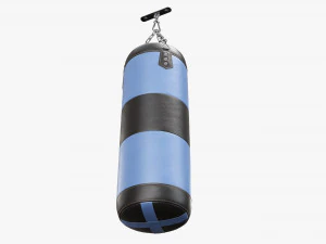 Ceiling boxing punch bag 3D Model