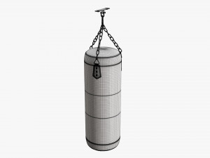 Ceiling boxing punch bag Modelo 3D