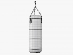 Ceiling boxing punch bag Modelo 3D