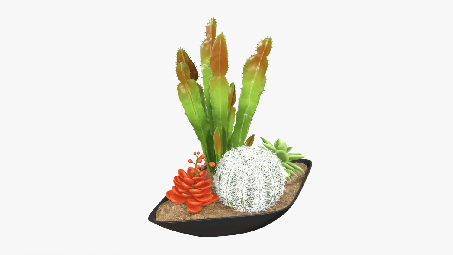 Decorative plant composition 01 3D Model .c4d .max .obj .3ds .fbx .stl .blend 