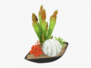 Decorative plant composition 01 Modelo 3D
